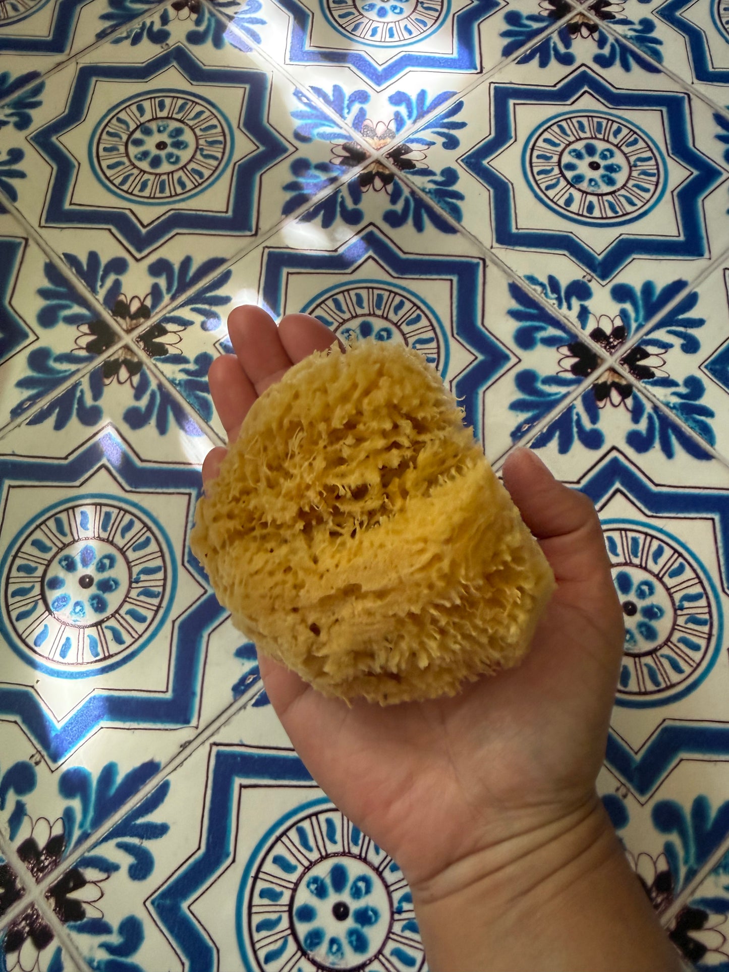 Natural Sea Sponge