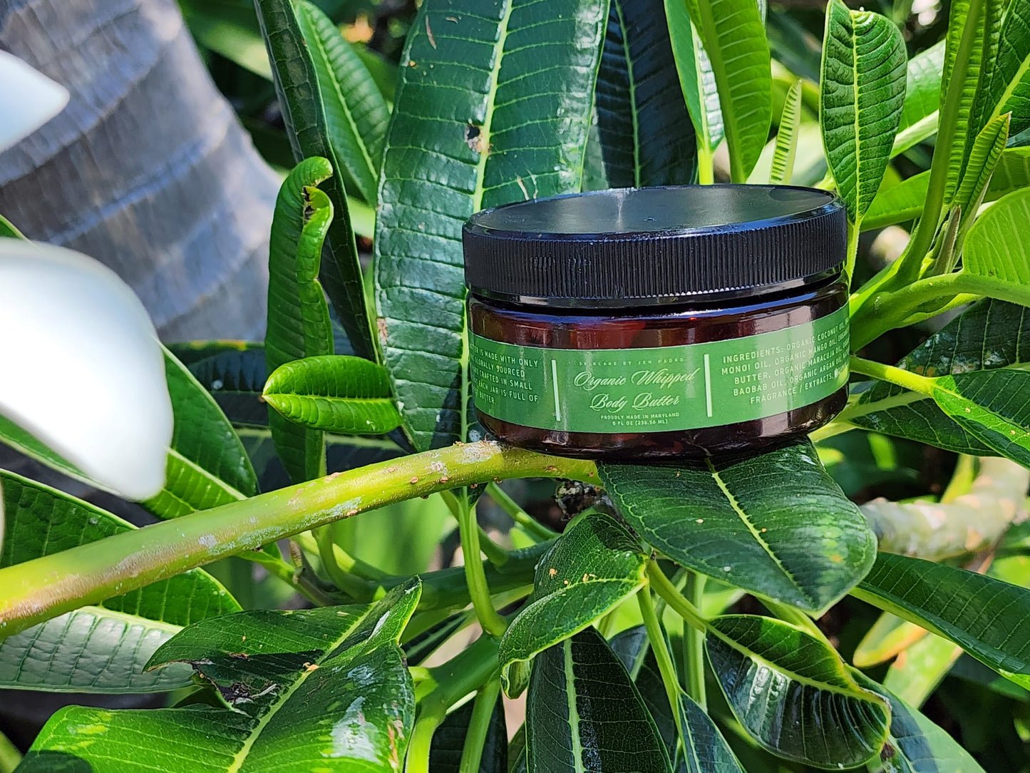 Organic Whipped Body Butter