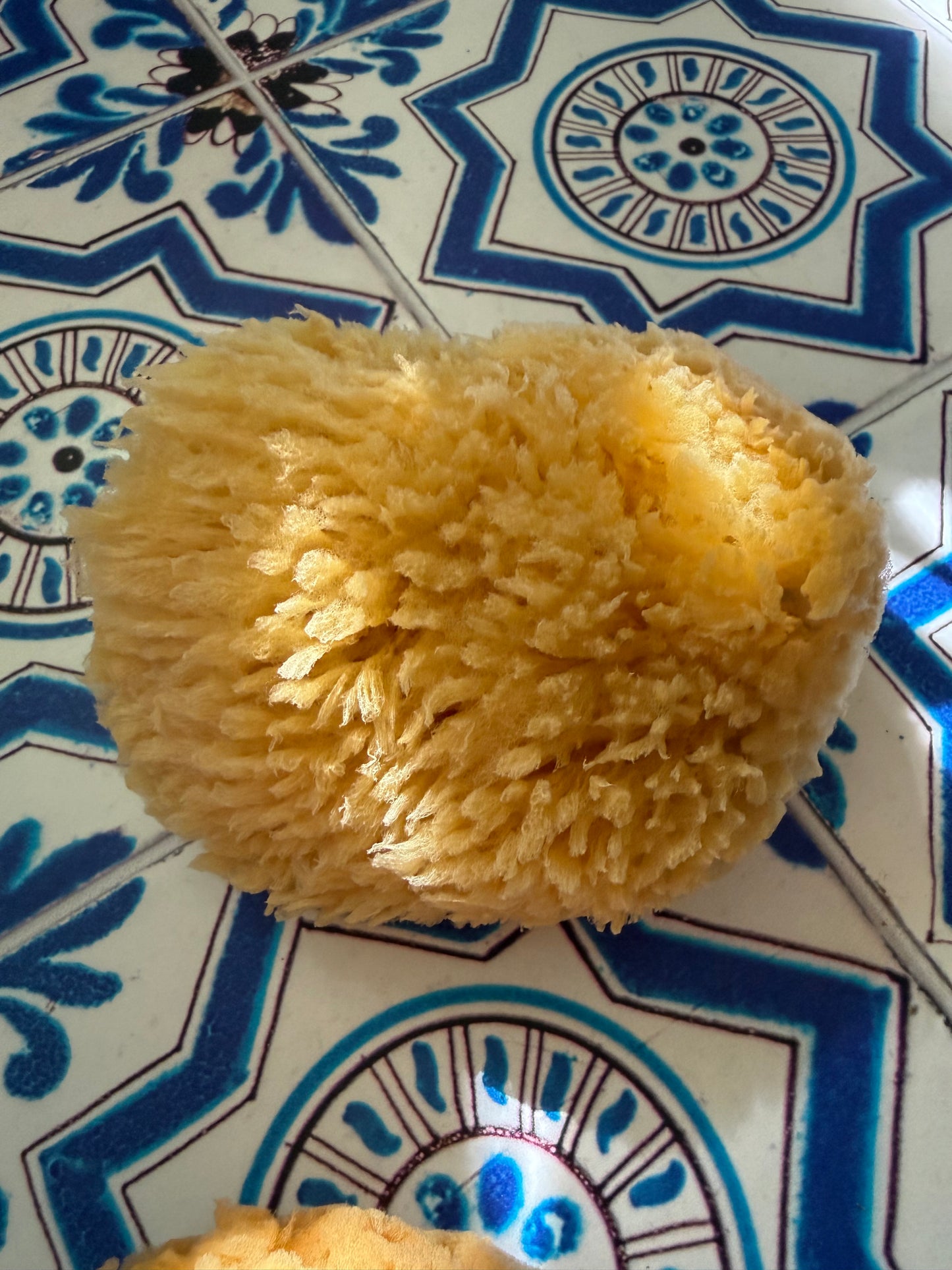 Natural Sea Sponge